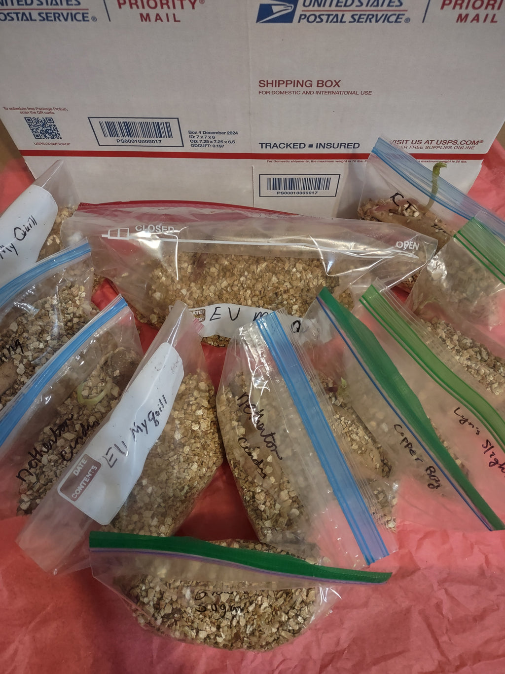 (A) Bundle-LABELED- 10 for $40-firm eyed up tubers- listed in description-Bonus Brown Sugar
